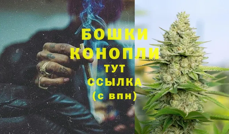 хочу   Ликино-Дулёво  Каннабис индика 